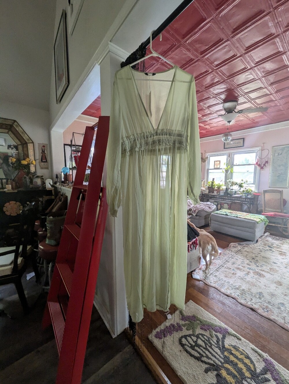 Sheer Pale Green Long Sleeve Maxi Dress